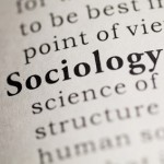 Information about sociology career