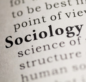 Information about sociology career